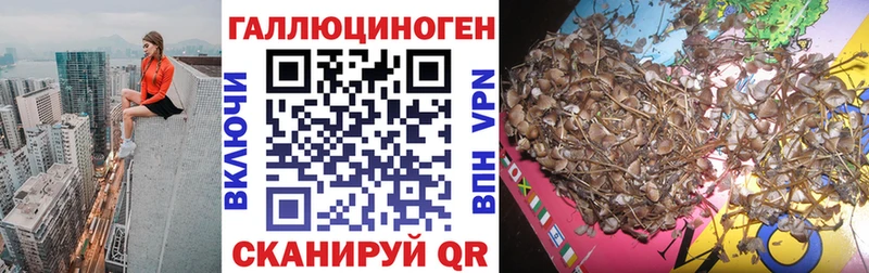 Галлюциногенные грибы Cubensis Коммунар