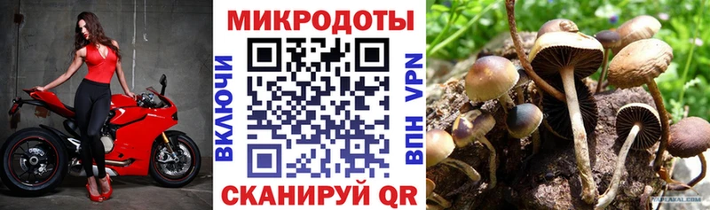 Галлюциногенные грибы прущие грибы  Купить где  Коммунар 